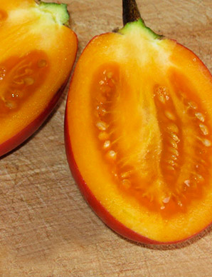 Tomate de árbol