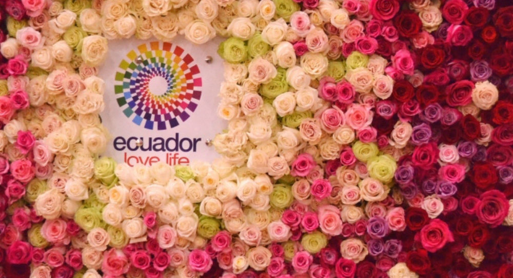Ecuadorian flowers