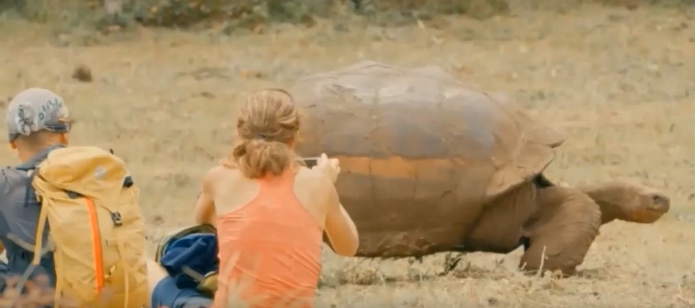 La fauna de Galápagos